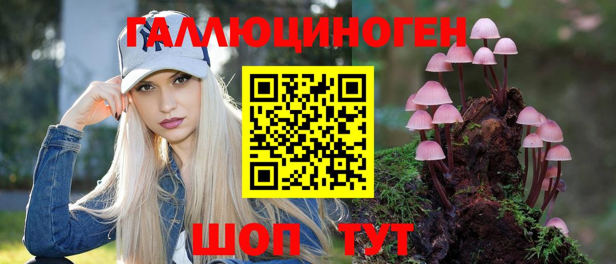 Гусев  Галлюциногенные грибы мицелий  Галлюциногенные грибы Psilocybe  Вход с VPN 